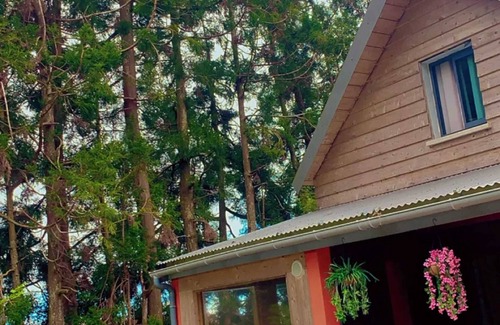 La Plaine-des-Palmistes Casa | Homerez - Bungalow in La Plaine des Palmistes