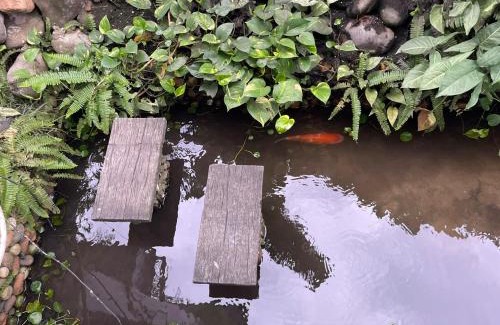 An Phu Casa | Homestay - HO CHI MINH CITY - Quận 2 - An phú - p1