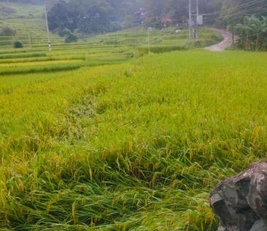 Kho Muong Apartamento | Homestay Hoanh Thắng