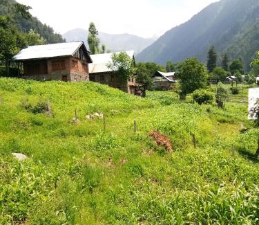 Srinagar Casa | HomeStay Just a Minute Away From Hari Parbat