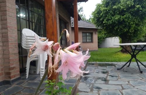 Morón Casa | Homy home