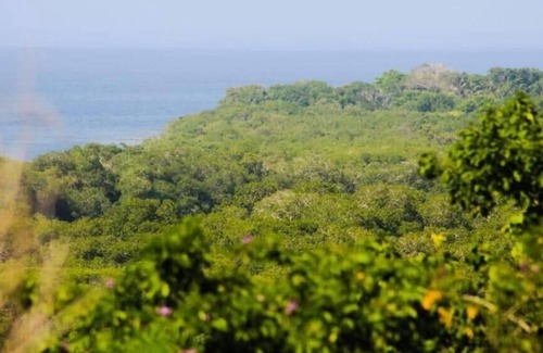 Bocachica Hotel | HONEY BARU