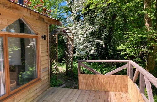 Llandysul Cabina | Honey Bee Cabin