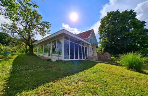 Cerevic Villa | Honey hill apartment Fruska Gora