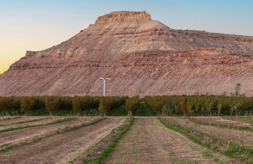 Delta Cama Y Desayuno | Honey Rock Landing
