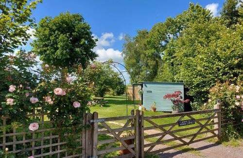 Wadhurst Otro | Hopgarden Glamping and camping - Luxury furnished Bell tents & Shepherd huts plus camp field to pitch your own tents