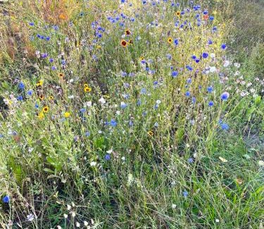 Muritz Apartamento | HORAMI Villa - ORIGAMI Apartment mit Terrasse