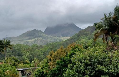 Salazie Apartamento | Horizon des Pitons