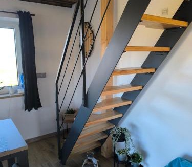 Stare Mesto Apartamento | Horský apartmán Stříbrnice