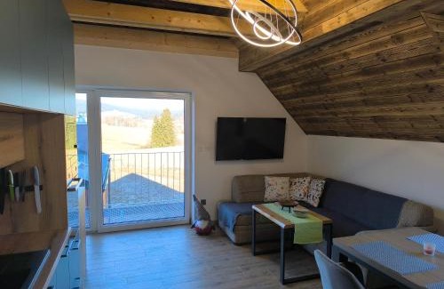 Stare Mesto Apartamento | Horský apartmán Stříbrnice