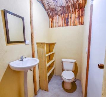 Coco Apartamento | Hospedaje Combi dream bird