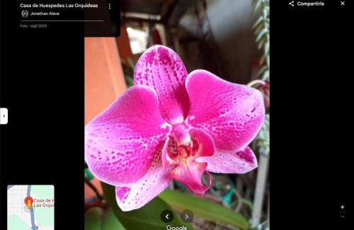 Tarapoa Apartamento | Hostal las orquideas