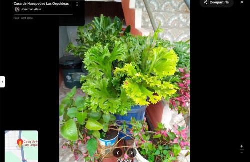 Tarapoa Apartamento | Hostal las orquideas