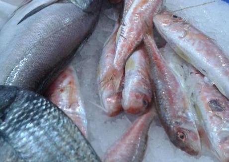 Calahonda Hotel | Hostal Miguel