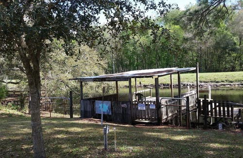 Hernando Cabaña | Las mejores vacaciones relajantes, La Fish Camp Lodge, el destino de sus sueños.