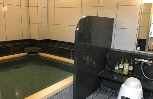 Takaoka Hotel | Hotel Alpha-One Takaoka