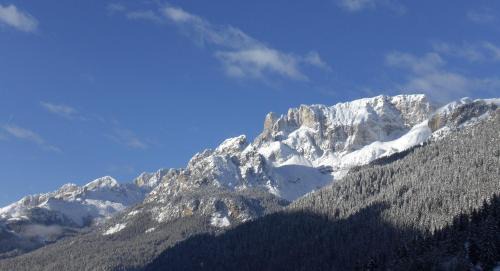 Campitello di Fassa Hotel | Hotel Alpi