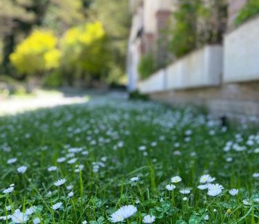 Llogara National Park Hotel | Hotel Alpin Llogara