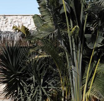 Beersheba Hotel | Hotel Anilevich Mansion