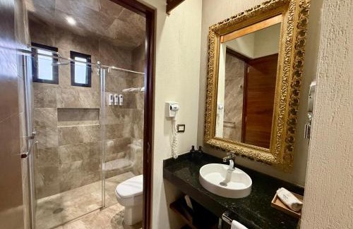 San Luis Potosí Hotel | Hotel Arista 1026