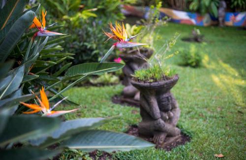 San Pedro Hotel | Hotel Ave del Paraíso