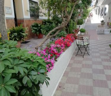 San Pedro de Alcántara Hotel | Hotel Avenida 31