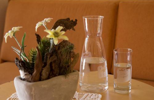 Galtur Hotel | Hotel Büntali