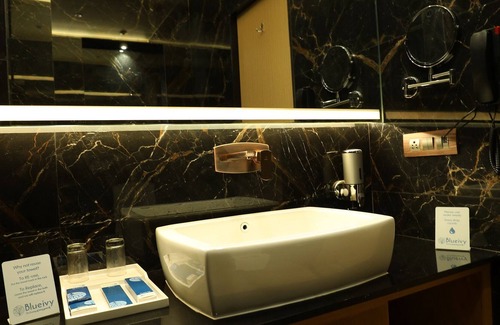 Anand Hotel | Hotel Blueivy