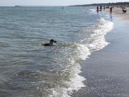 Ostseebad Prerow Hotel | Hotel & Café Strandeck