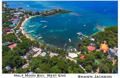 Half Moon Bay Hotel | Hotel Chillies and Native Sons Diving