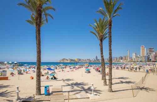 Centro de Benidorm Hotel | Hotel Colón