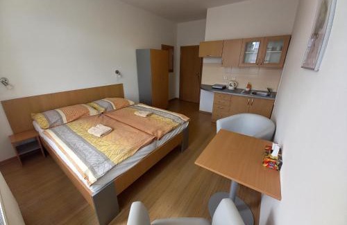 Decin Hotel | Hotel Děčín