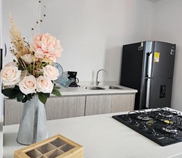 Filandia Apartamento | Hotel de Imaka Filandia