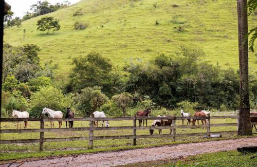 Ipiabas Hotel | Hotel Fazenda Jurea Super conforto e HIstória - Local de gravação Novela Escrava Isaura