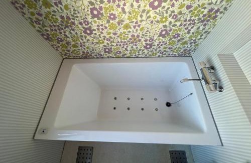 Sanbu-gun Hotel | Hotel FirstWood 成田店