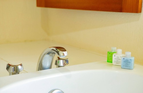 Flamingo Hotel | Hotel las Palomas Nuevo Vallarta