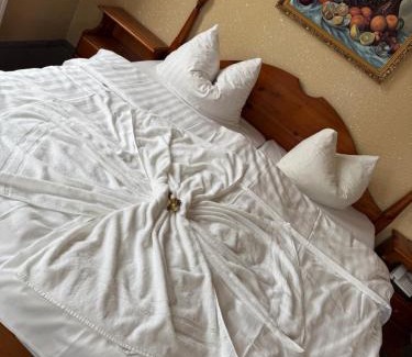 Bad Schlema Casa | Hotel Leonis