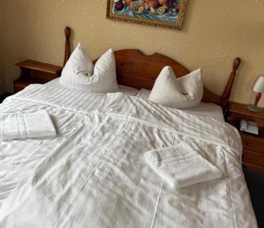 Bad Schlema Casa | Hotel Leonis