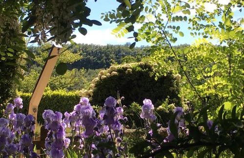Sisteron Hotel | Hotel Les Chênes