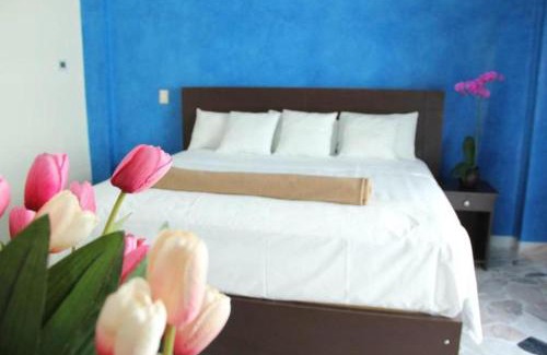 Tuxtla Gutiérrez Hotel | Hotel María Eugenia Tuxtla Gutiérrez