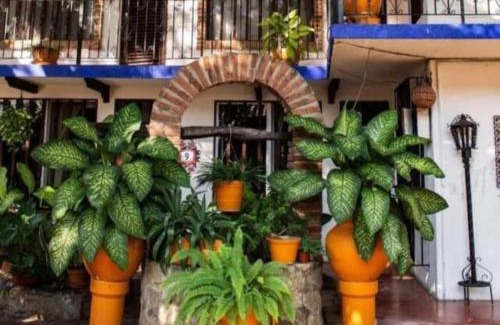 Acapulco Hotel | Hotel Mision, Acapulco centro