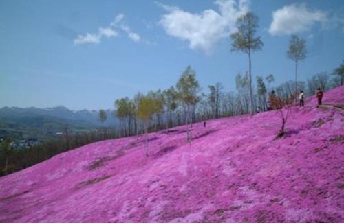 Monbetsu Hotel | Hotel Okhotsk Palace - Vacation STAY 24145v