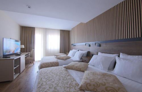 Zlatibor Hotel | Hotel Olimp