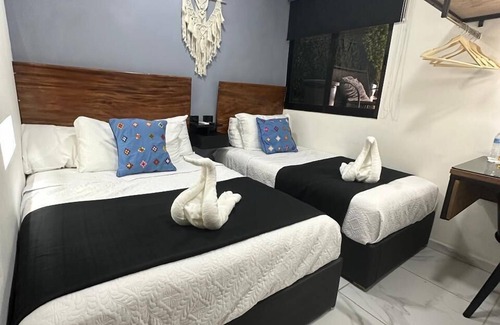 Centro Hotel | Hotel Palenque Premier