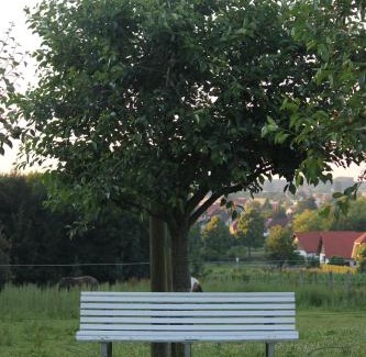 Preussisch Oldendorf Hotel | Hotel Pension Haus Stork