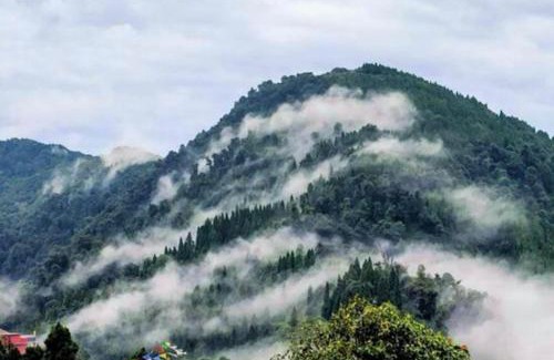 Lava Hotel | Hotel PP