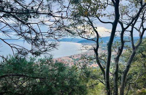 Pietra Ligure Hotel | Hotel Principe