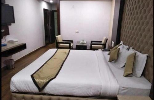 Raipur Hotel | hotel puneet international