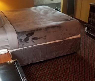 Stillwater Apartamento | Hotel Queen Bed Hotel Room 213 Wi-Fi Booking