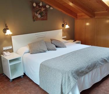 Camprodon Hotel | Hotel Sant Roc